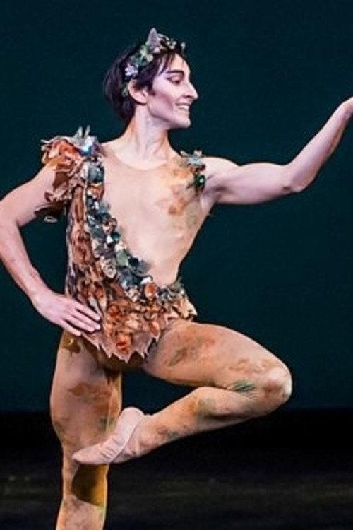 Royal Ballet All-Star Gala 2020 official movie poster