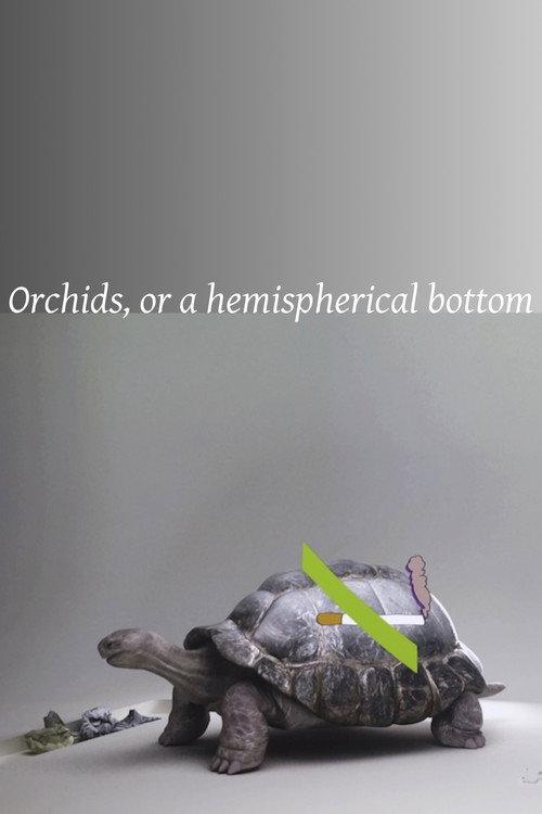 Orchids, or a hemispherical bottom 2013 official movie poster