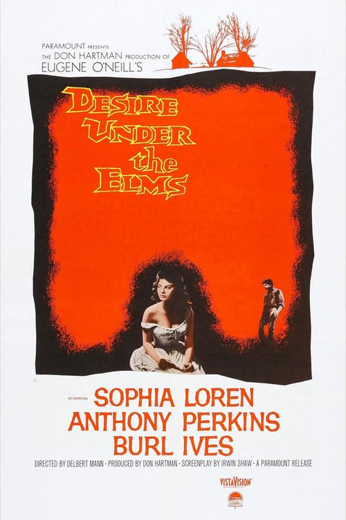 Desire Under the Elms 1958 official movie poster