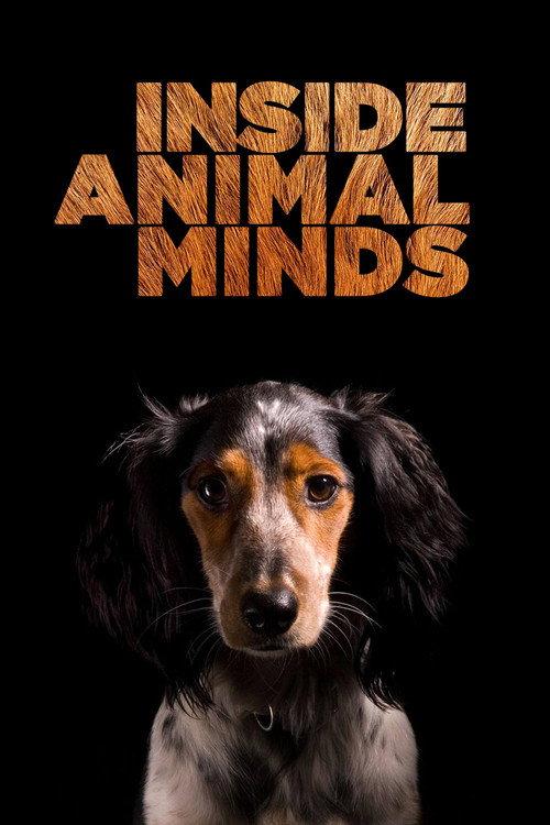 Inside Animal Minds 2014 official movie poster