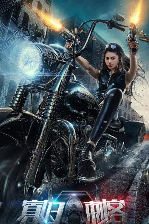 The Widows Assassin 2016 official movie poster