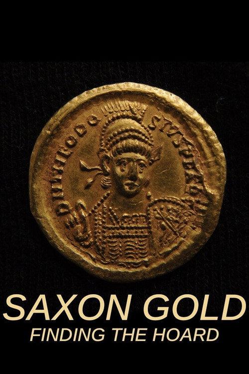 Saxon Gold: Finding the Hoard 2010 official movie poster