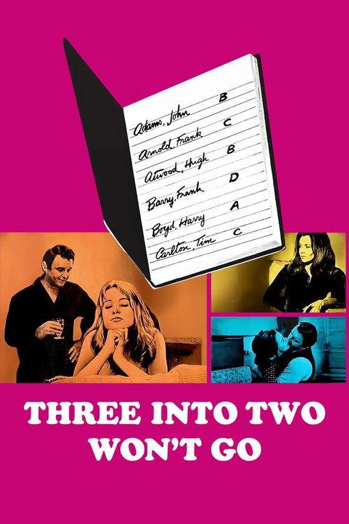 3 Into 2 Won't Go 1969 official movie poster