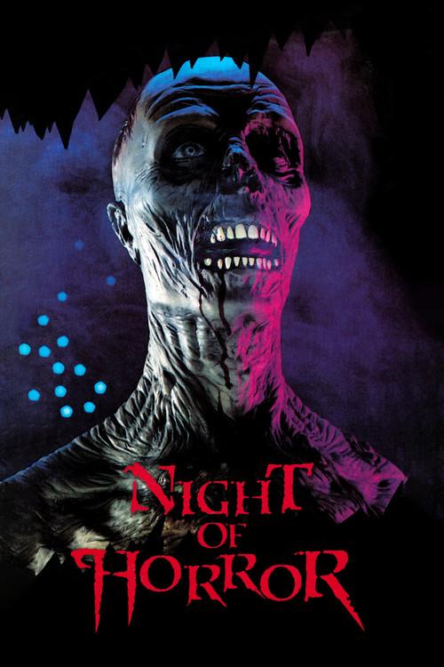 Night of Horror 1981 official movie poster