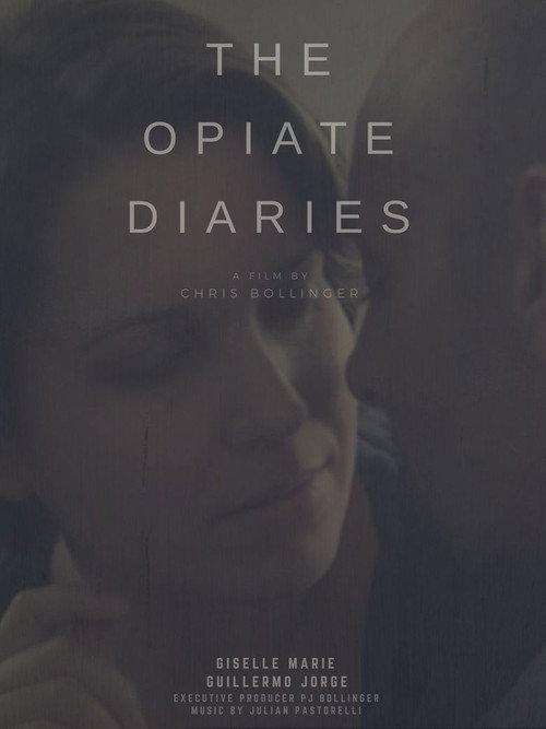 The Opiate Diaries 2018 official movie poster