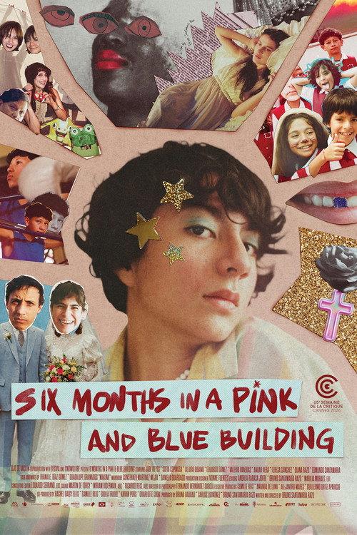 Six Months in a Pink and Blue Building 2026 official movie poster