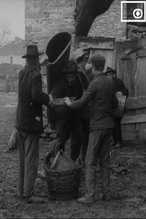 Il polentone a Pont Canavese 1909 official movie poster
