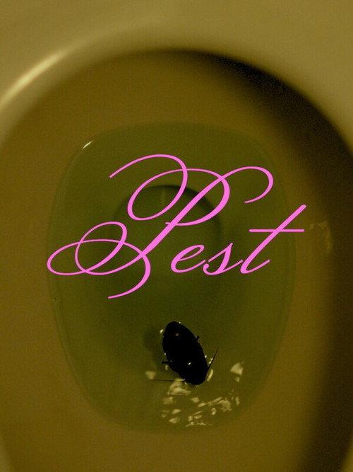 Pest 2024 official movie poster