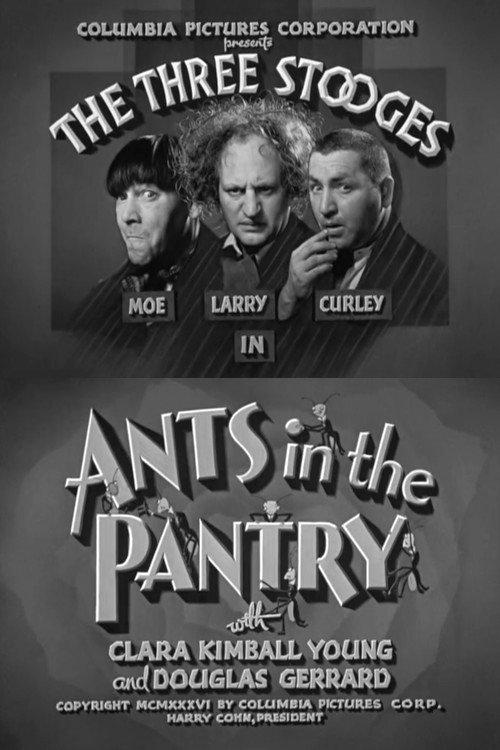 Ants in the Pantry 1936 official movie poster