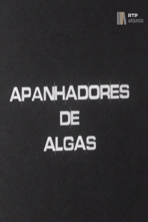 Apanhadores de Algas 1975 official movie poster