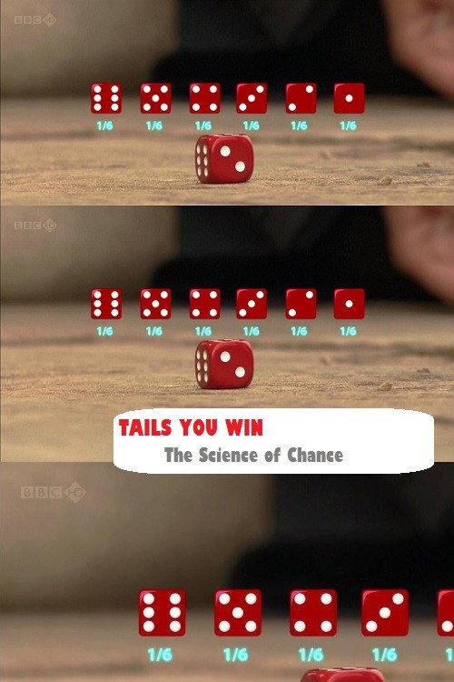 Tails You Win: The Science of Chance 2012 official movie poster