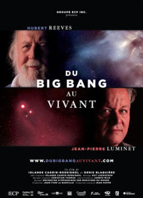 Du Big Bang au Vivant 2011 official movie poster
