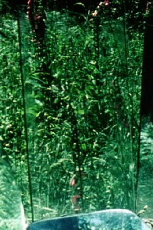 Peripeteia II 1978 official movie poster