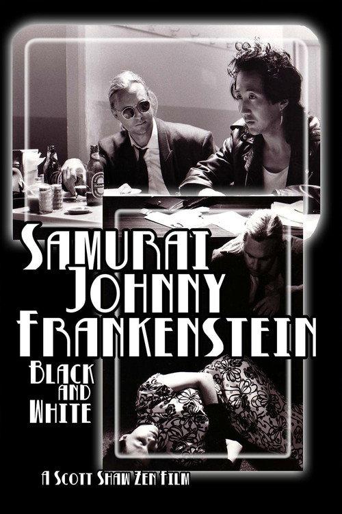 Samurai Johnny Frankenstein Black and White 2014 official movie poster