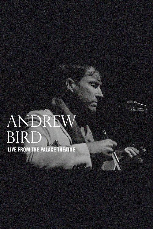 Andrew Bird: Live From The Palace Theatre 2019 official movie poster