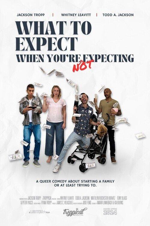 What to Expect When You're Not Expecting 2024 official movie poster