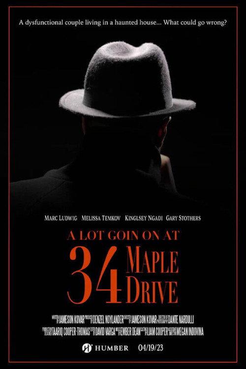 A Lot Going on at 34 Maple Drive 2023 official movie poster