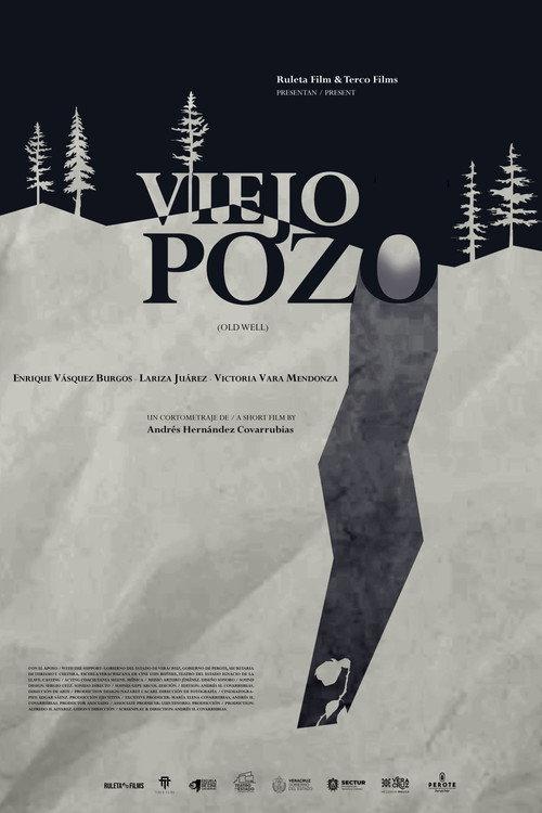 Old Well 2024 official movie poster