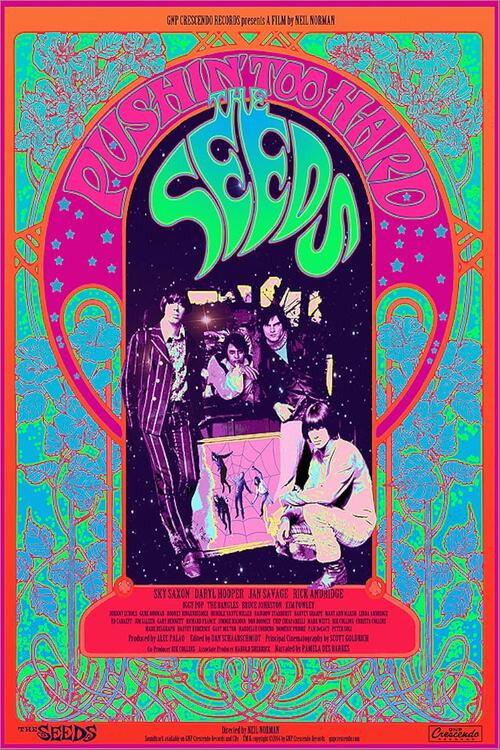The Seeds: Pushin' Too Hard 2014 official movie poster