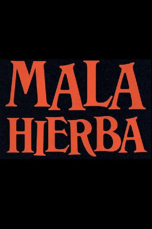 Mala Hierba 2020 official movie poster