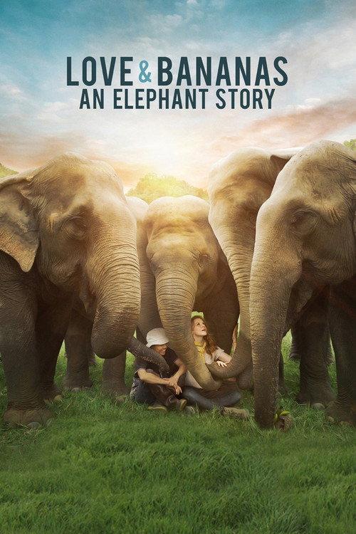 Love & Bananas: An Elephant Story 2018 official movie poster