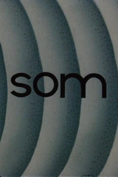 Som 1969 official movie poster