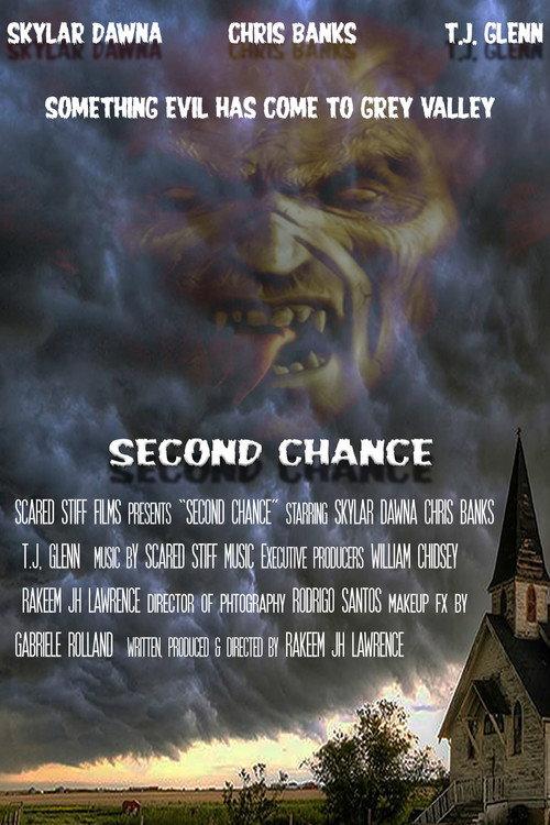 Second Chance aka Grey Valley 2020 official movie poster