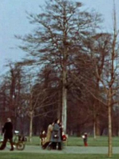 Park Film 1973 official movie poster