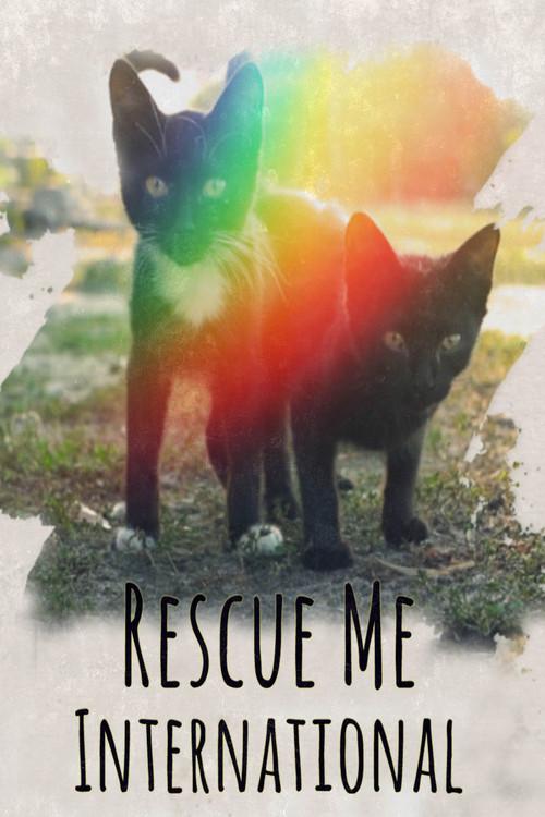 Rescue Me: International 2020 official movie poster