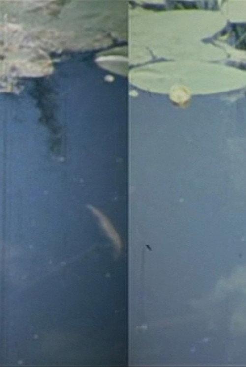 Time Flow 1977 official movie poster