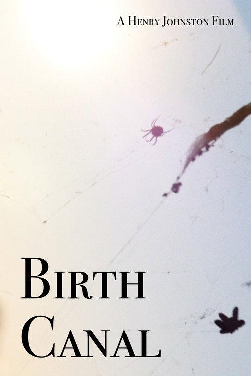 Birth Canal 2020 official movie poster