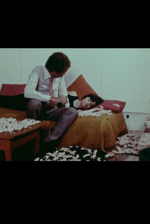 Pink Freud 1972 official movie poster