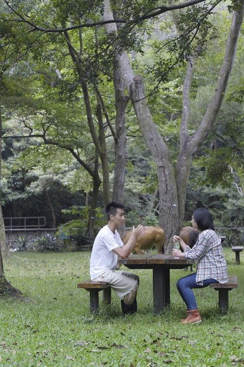 The Cow Caretaker 2015 official movie poster