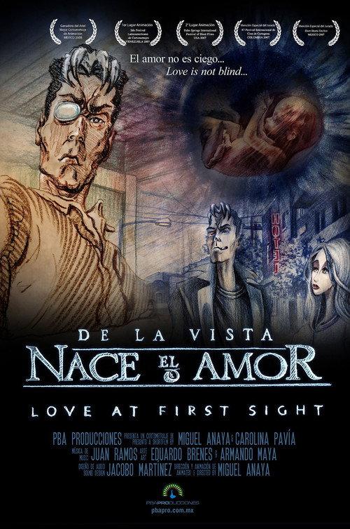 De la vista nace el amor 2007 official movie poster