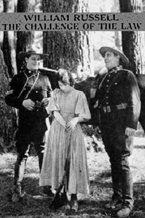 The Challenge of the Law 1920 official movie poster