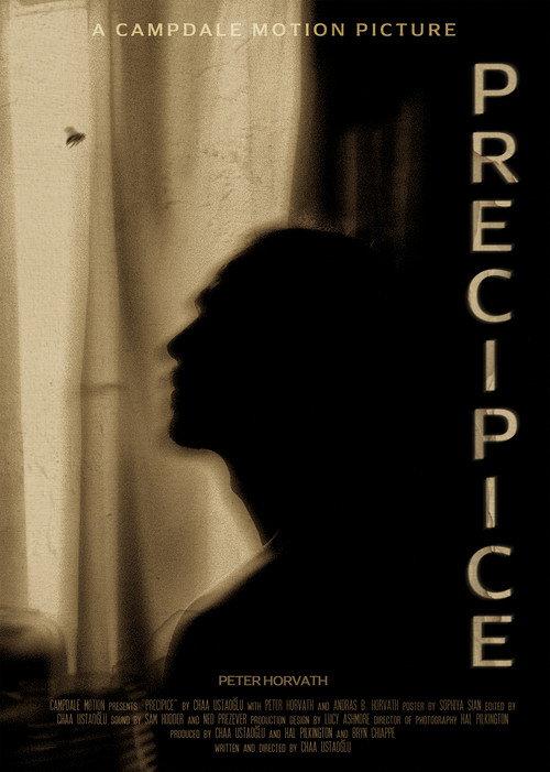 Precipice 2023 official movie poster