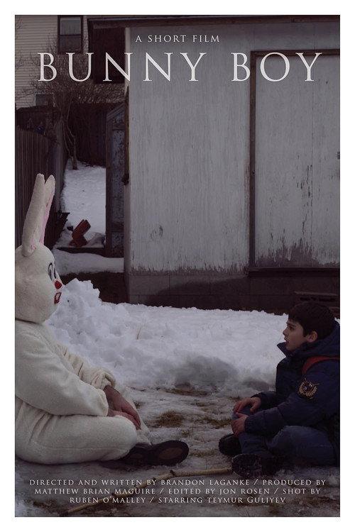 Bunny Boy 2010 official movie poster