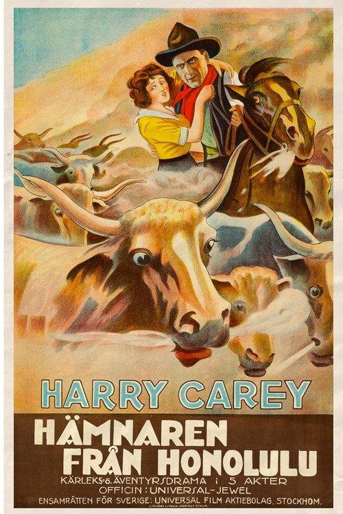 The Outlaw and the Lady 1917 official movie poster