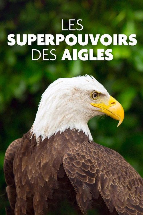 Superpowered Eagles 2021 official movie poster