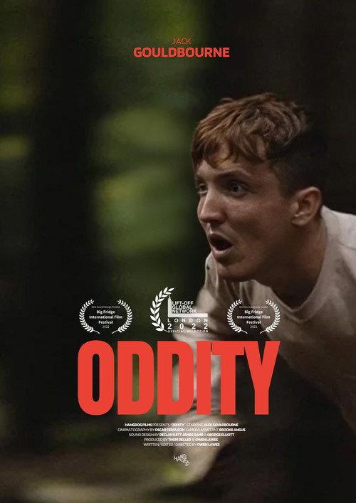 Oddity 2022 official movie poster