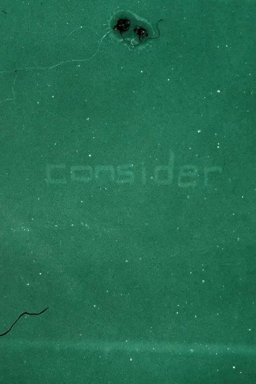 consider 2024 official movie poster