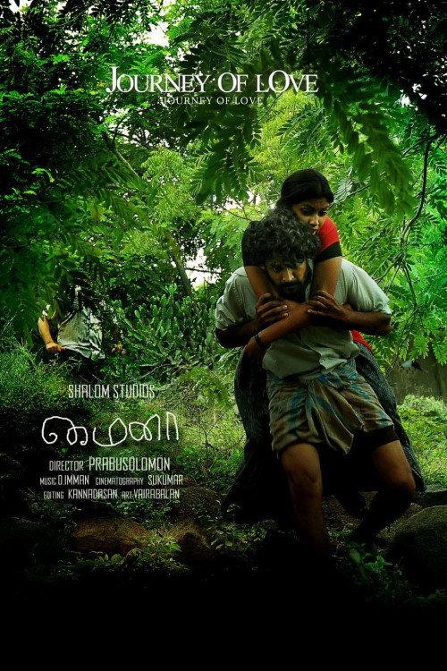 Mynaa 2010 official movie poster