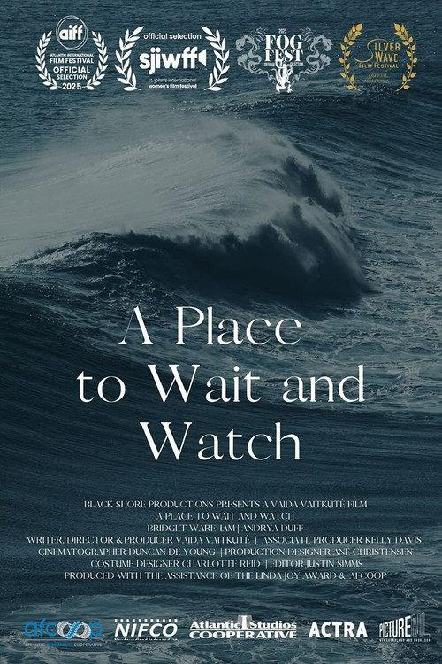 A Place to Wait and Watch 2025 official movie poster