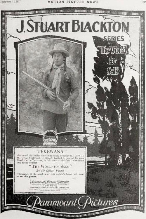 The World for Sale 1918 official movie poster
