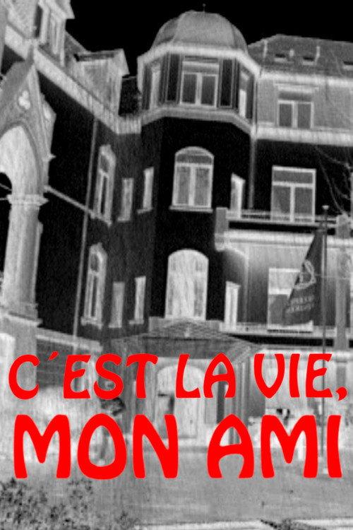 C'est la vie, mon ami 2001 official movie poster