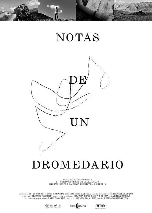 Notes from a Dromedary 2022 official movie poster