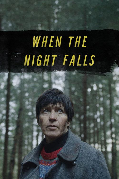 When the Night Falls 2022 official movie poster