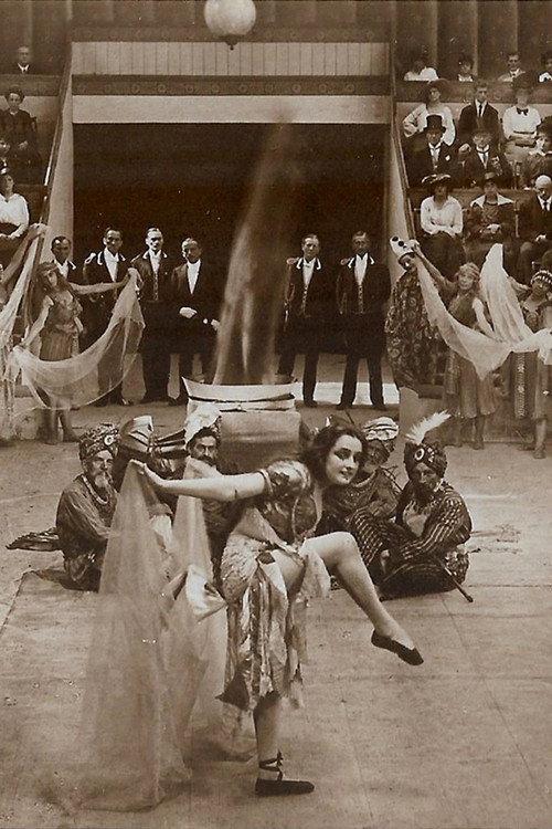 Des Lebens ungemischte Freude 1917 official movie poster