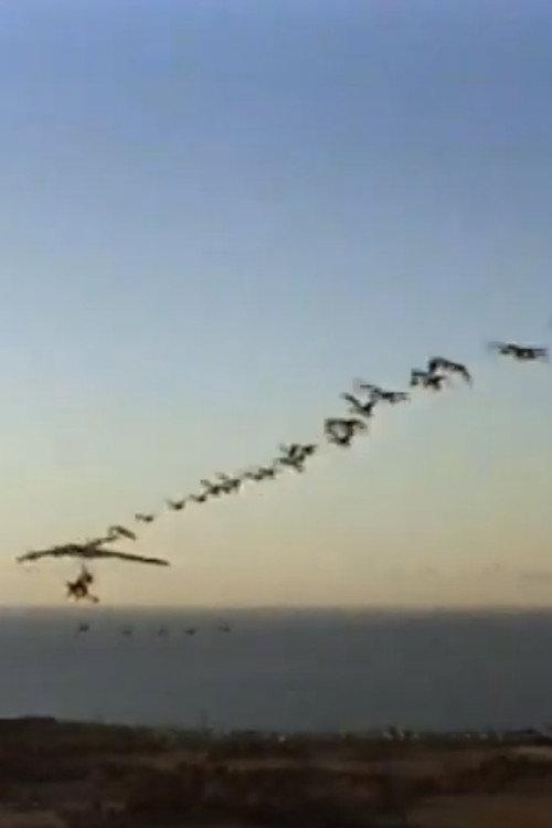 The Ultra Geese 1998 official movie poster