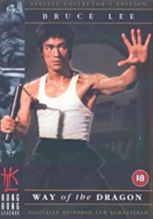Reflections on 'the Little Dragon' 2001 official movie poster